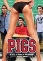 Pigs