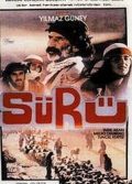 Sürü