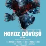 Horoz Dövüşü