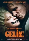 Gelin!