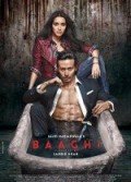 Baaghi (2016)