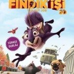 Fındık İşi