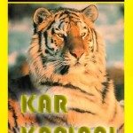 Sibirya Kar Kaplanı