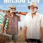 Mr. Kaplan